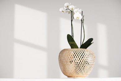 Blooming orchid flower in pot on white table near wall, space for text