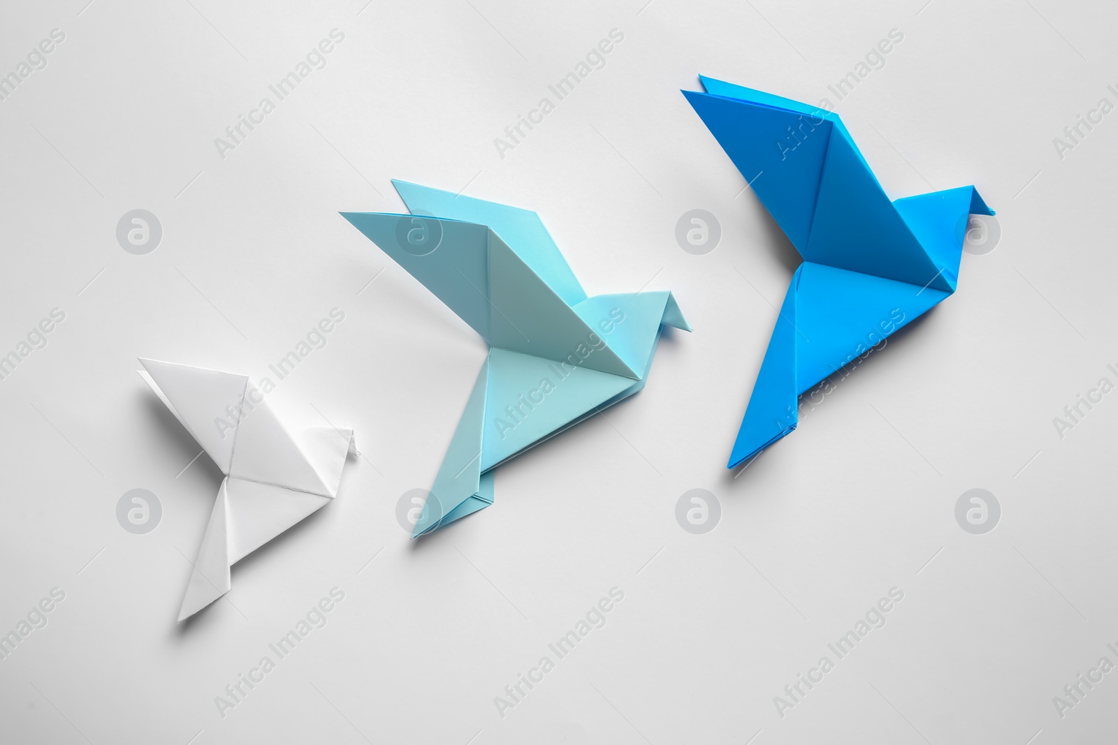 Photo of Beautiful colorful origami birds on white background, flat lay