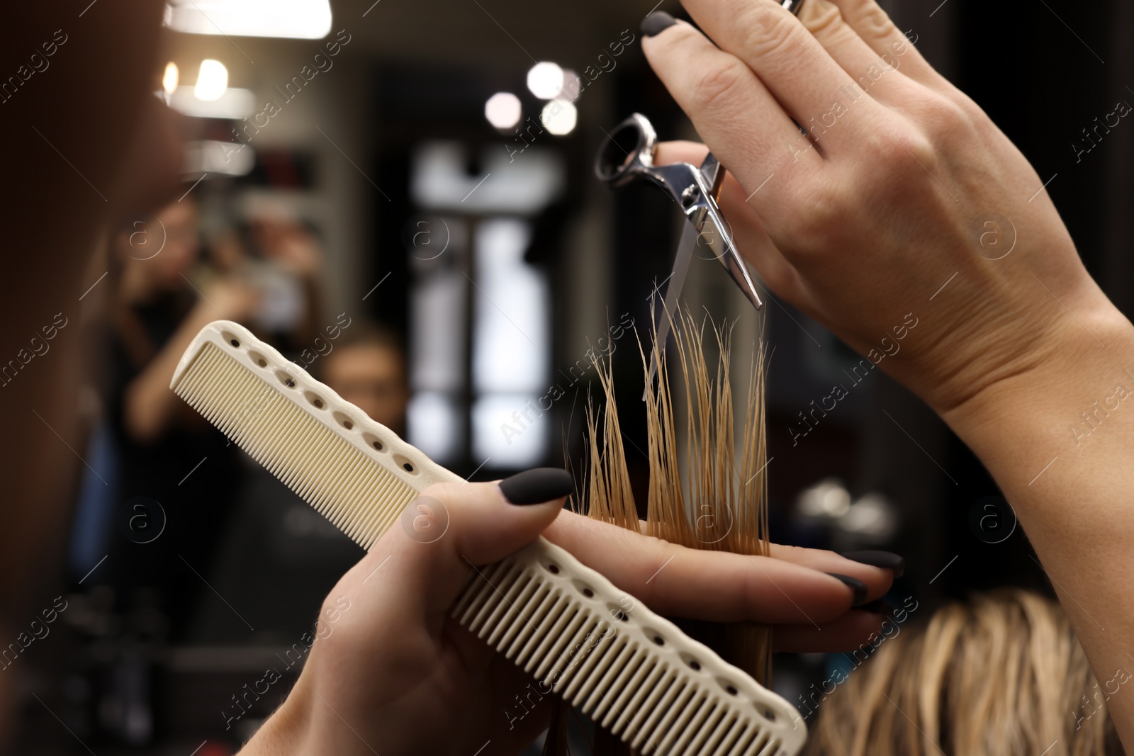 Photo of Professional hairdresser cutting woman's hair in salon, closeup