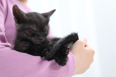 Photo of Little girl with cute fluffy kitten indoors, closeup