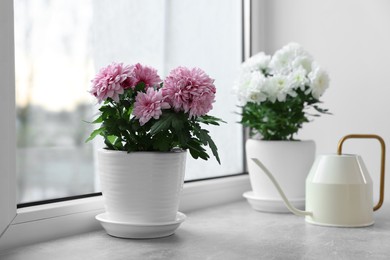 Beautiful chrysanthemum flowers in pots and watering can on windowsill indoors
