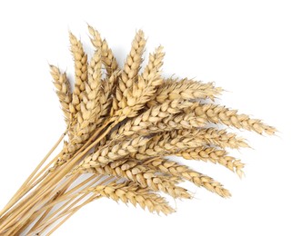 Photo of Bunch of wheat on white background, top view. Space for text