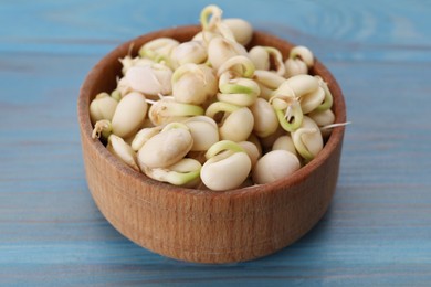 Photo of Sprouted kidney beans in bowl on light blue wooden table, closeup