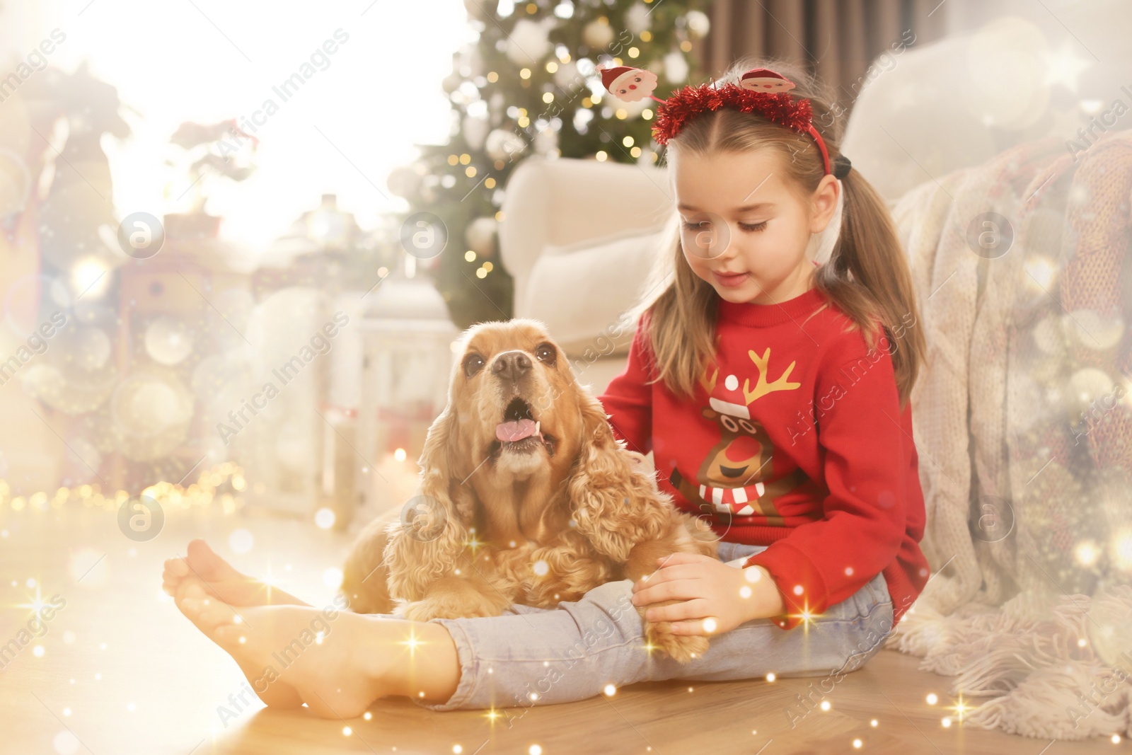 Image of Cute little girl with English Cocker Spaniel in room decorated for Christmas. Magical festive atmosphere