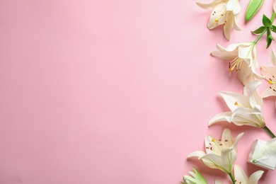 Photo of Flat lay composition with lily flowers on color background