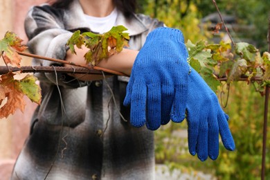 Photo of Woman wearing gloves having rest in garden, closeup