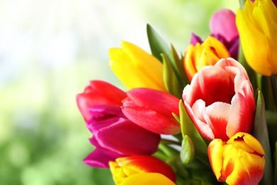 Image of Beautiful bright spring tulips on blurred green background