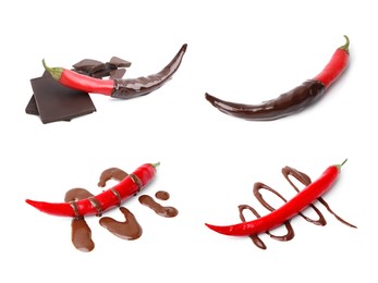 Image of Collage with delicious chocolate and chili peppers on white background