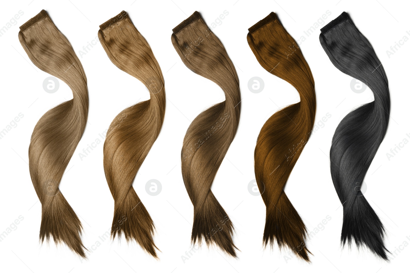 Image of Strands of different beautiful hair on white background, top view