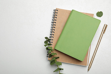 Photo of Stylish notebooks, pen and branch on white table, flat lay. Space for text