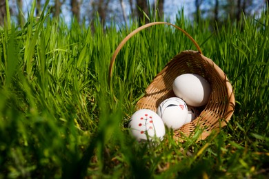 Photo of Wicker basket with decorated Easter eggs in green grass outdoors. Space for text