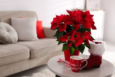 Photo of Beautiful poinsettia, red boot and cup of cocoa on table indoors, space for text. Traditional Christmas flower