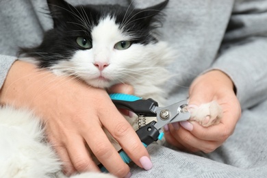 Woman cutting claws of cute cat with clipper, closeup