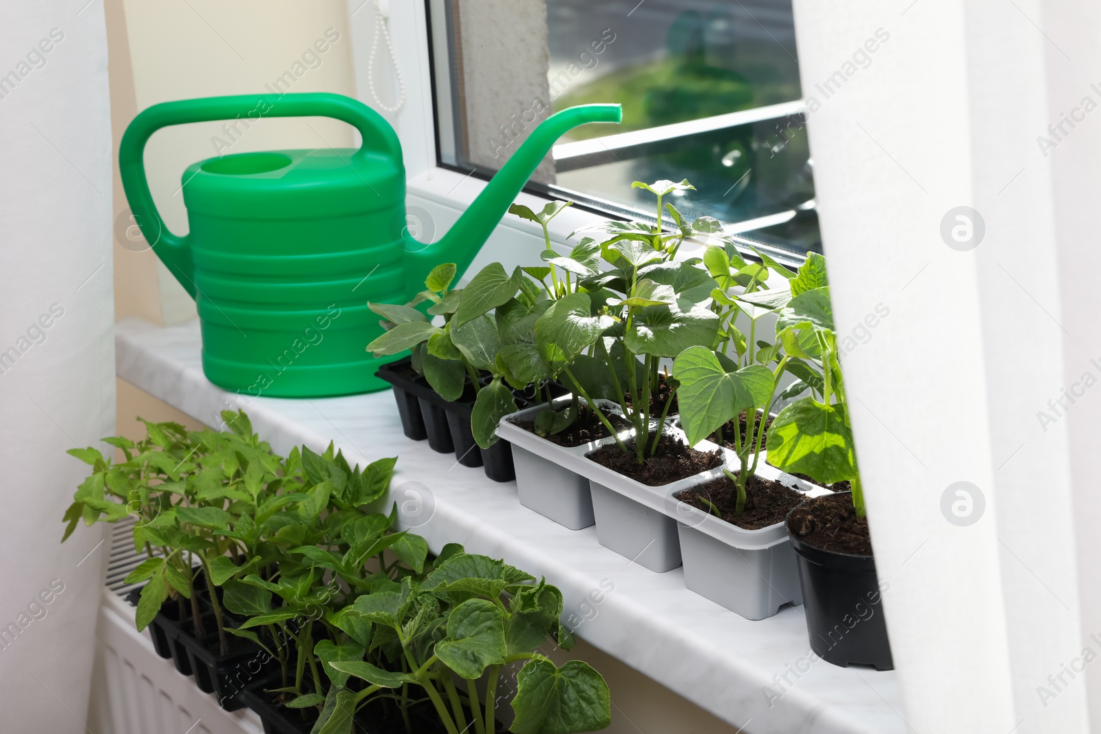 Photo of Seedlings growing in plastic containers with soil and watering can on windowsill indoors