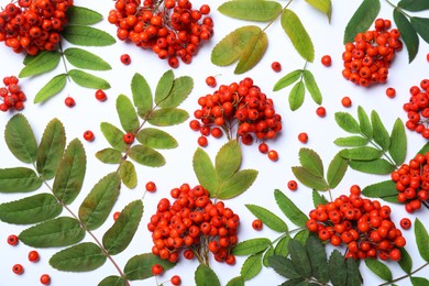 Photo of Fresh ripe rowan berries and green leaves on white background, top view