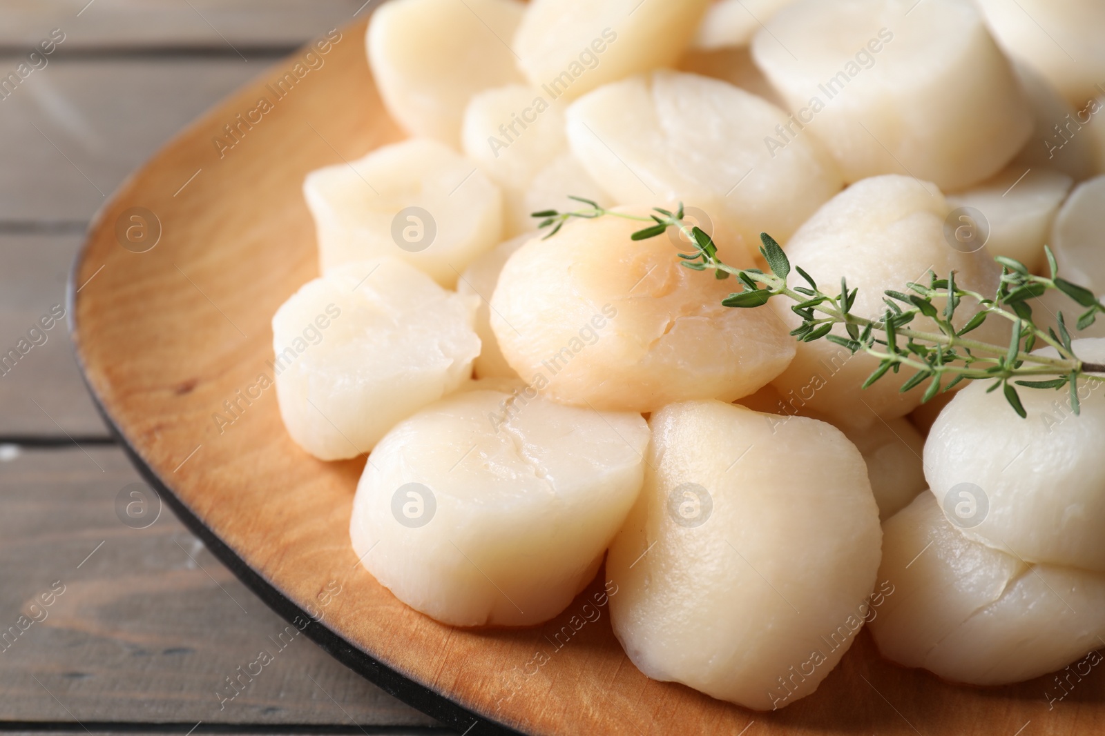 Photo of Fresh raw scallops and thyme on wooden table, closeup