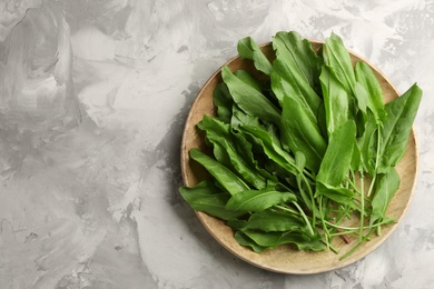 Photo of Wooden plate with fresh sorrel on light grey background, top view. Space for text