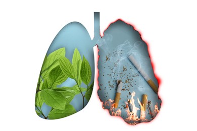 Illustration of  human lungs - one part with image of fresh leaves, another with cigarettes on white background. Healthy and unhealthy lifestyle concept