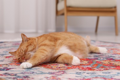 Photo of Cute ginger cat lying on carpet at home