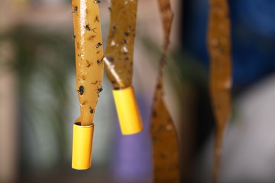 Photo of Sticky insect tapes with dead flies on blurred background, space for text
