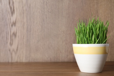 Photo of Pot with wheat grass on table against wooden background. Space for text