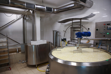 Photo of Curd and whey in tank at cheese factory