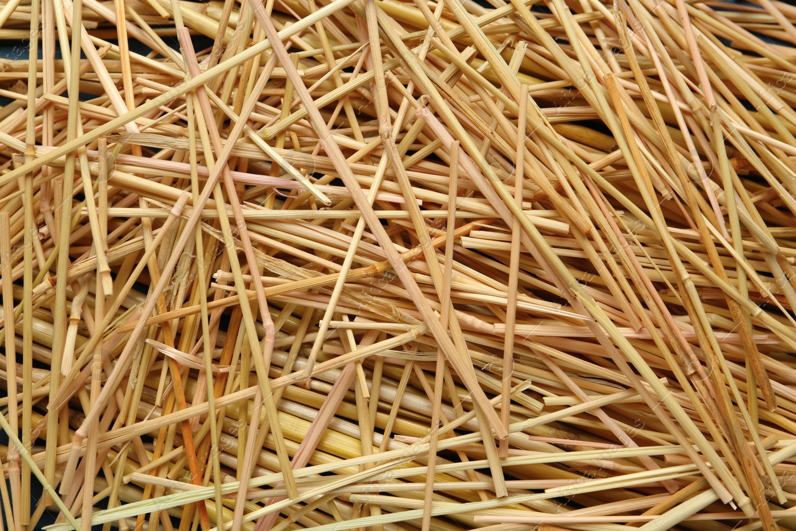 Photo of Heap of dried hay as background, top view