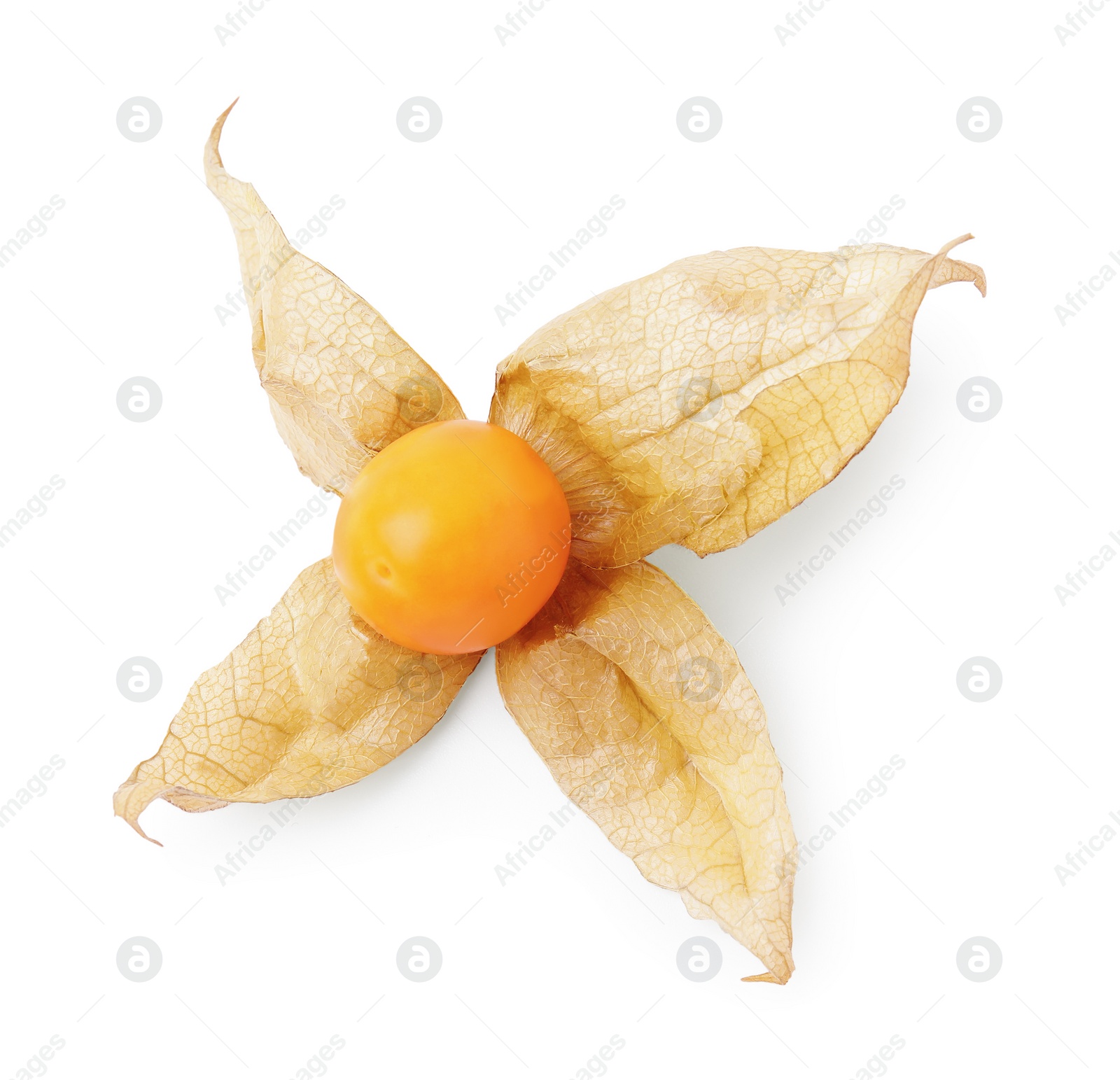 Photo of Ripe physalis fruit with calyx isolated on white