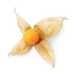 Photo of Ripe physalis fruit with calyx isolated on white