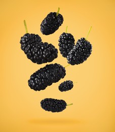 Image of Fresh ripe black mulberries falling on orange background