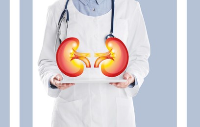 Closeup view of doctor holding modern tablet and illustration of kidneys color background