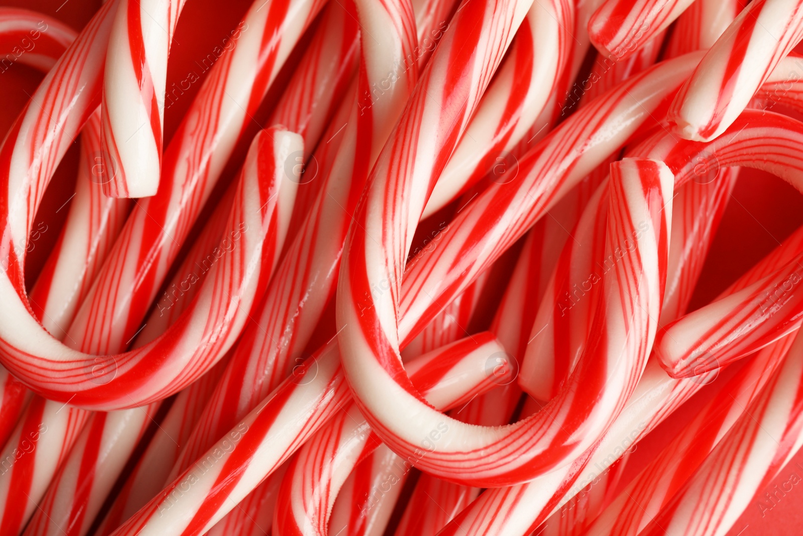 Photo of Many candy canes as background. Festive treat