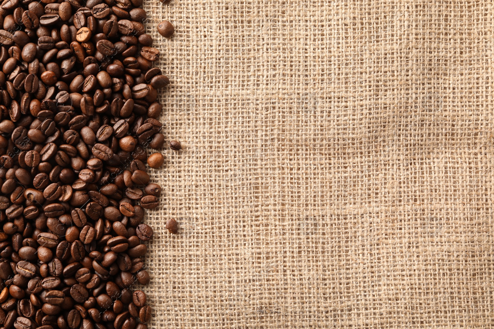 Photo of Many coffee beans on burlap fabric, top view. Space for text