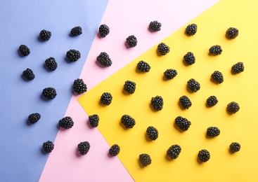 Flat lay composition with ripe blackberries on color background