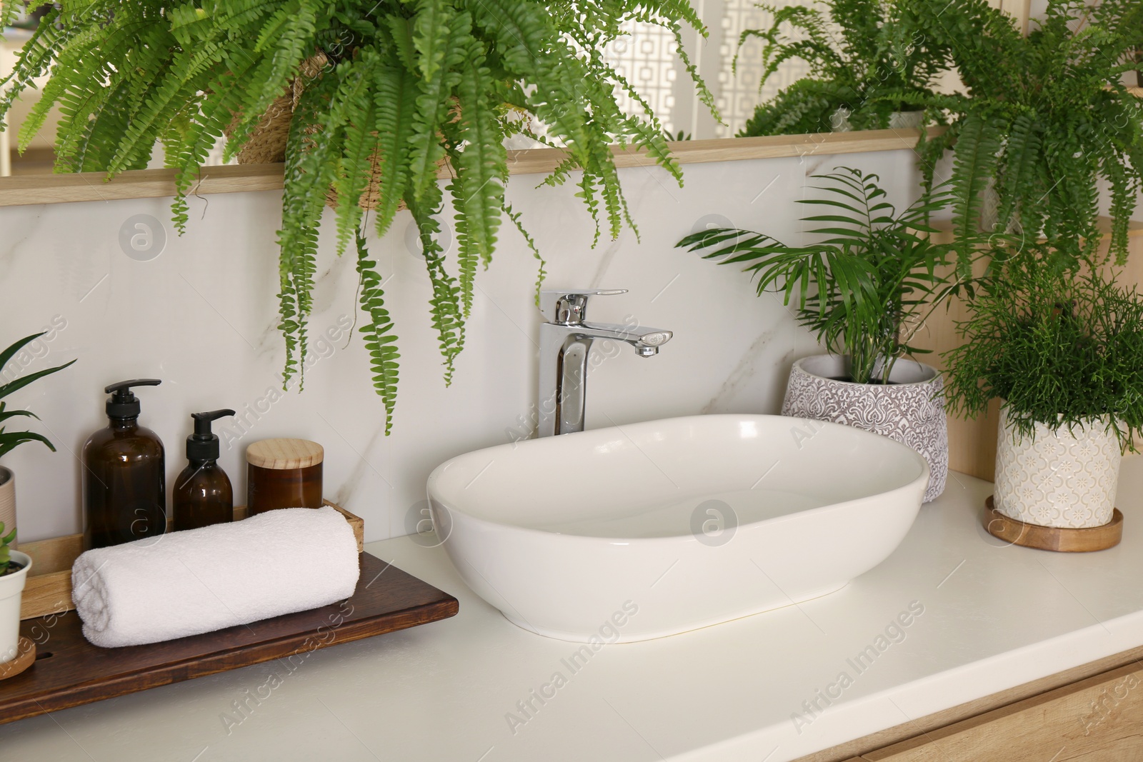 Photo of Counter with sink and many different houseplants near white marble wall