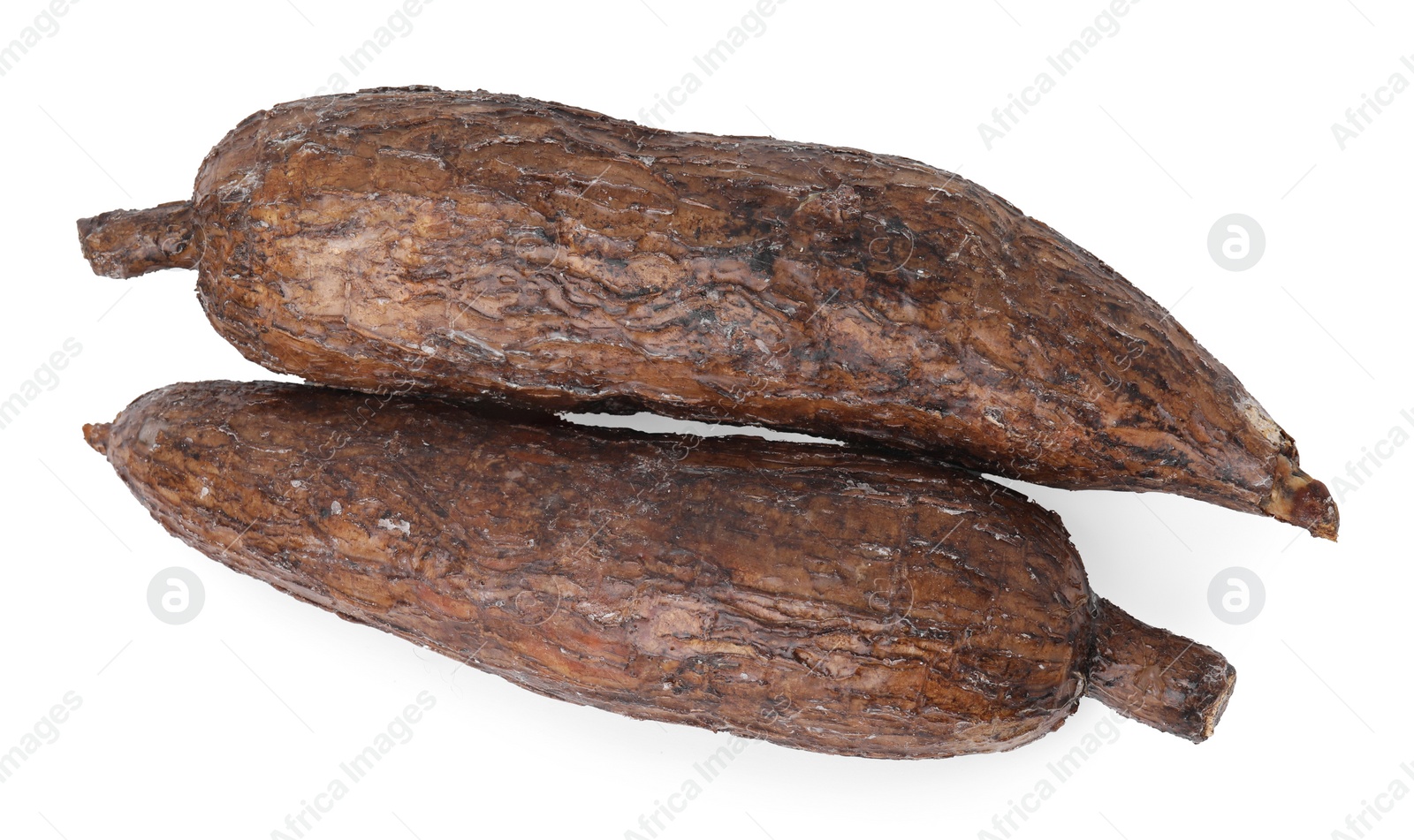 Photo of Two whole ripe cassava roots isolated on white, top view