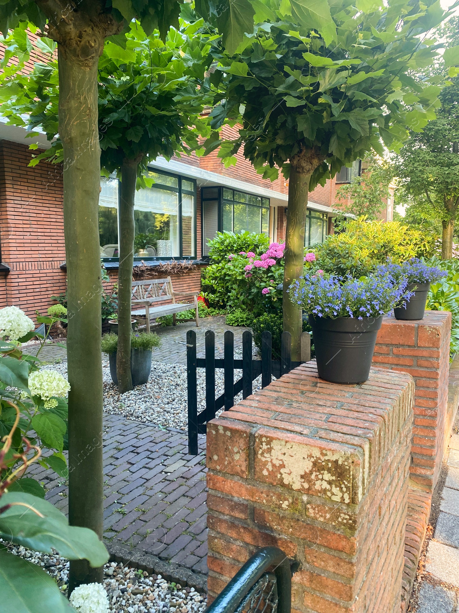 Photo of Beautiful front yard with different plants and trees