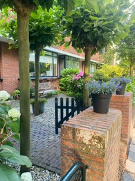 Photo of Beautiful front yard with different plants and trees