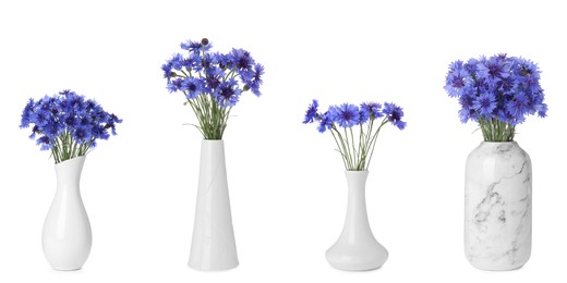 Image of Set with beautiful blue cornflowers in vases on white background. Banner design