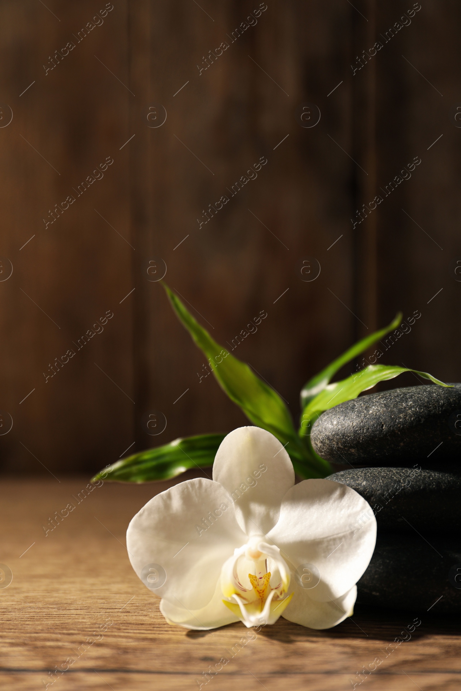 Photo of Spa stones, beautiful orchid flower and bamboo sprout on wooden table, closeup. Space for text