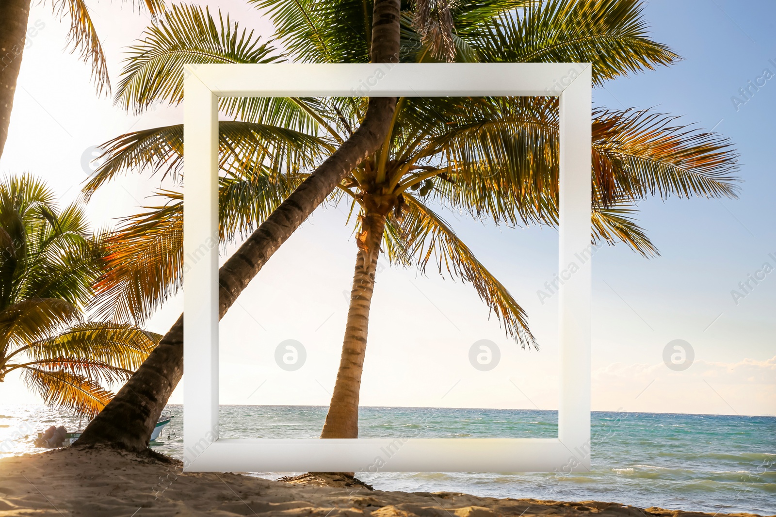 Image of Wooden frame and beautiful beach with palm trees near ocean