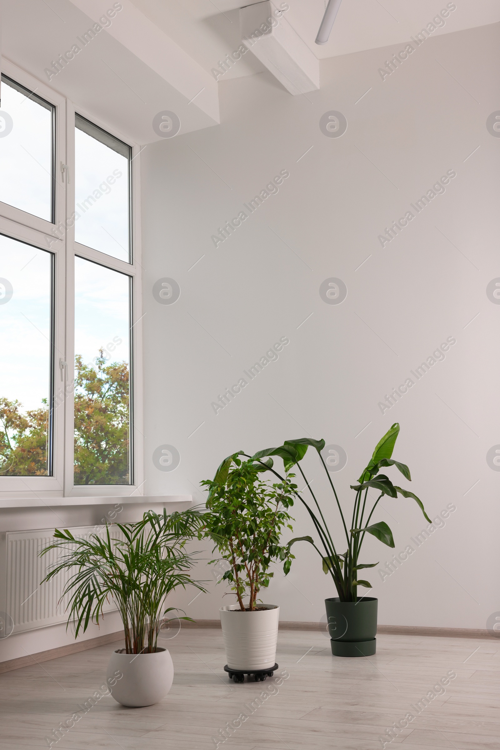 Photo of Empty renovated room with potted houseplants and windows