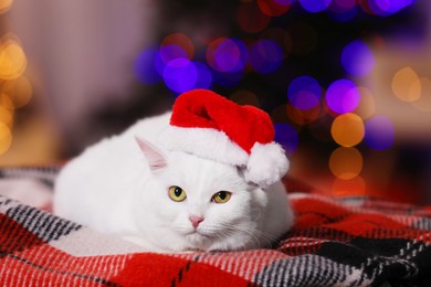 Adorable cat wearing Christmas hat on blanket against blurred lights