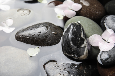 Stones and flowers in water as background, closeup. Zen lifestyle