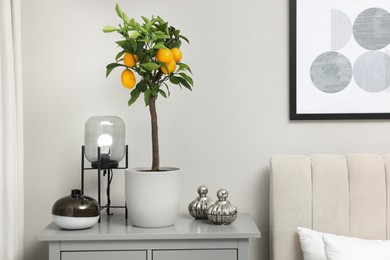 Potted lemon tree with ripe fruits on chest drawers in bedroom