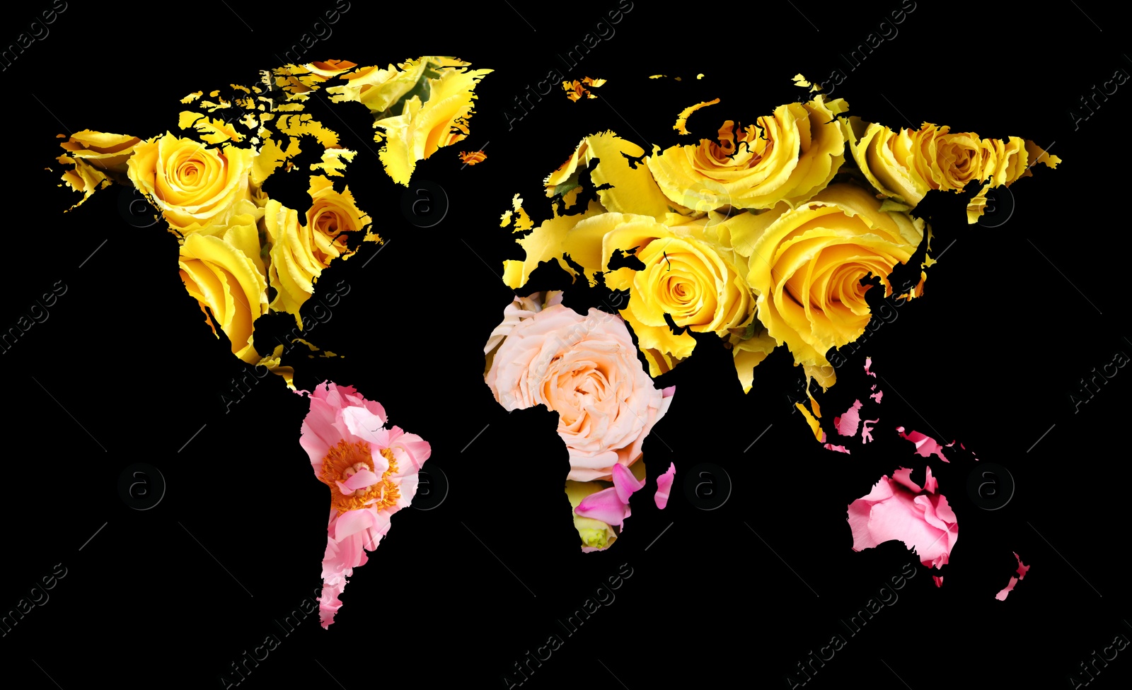 Image of World map made of beautiful flowers on black background, banner design