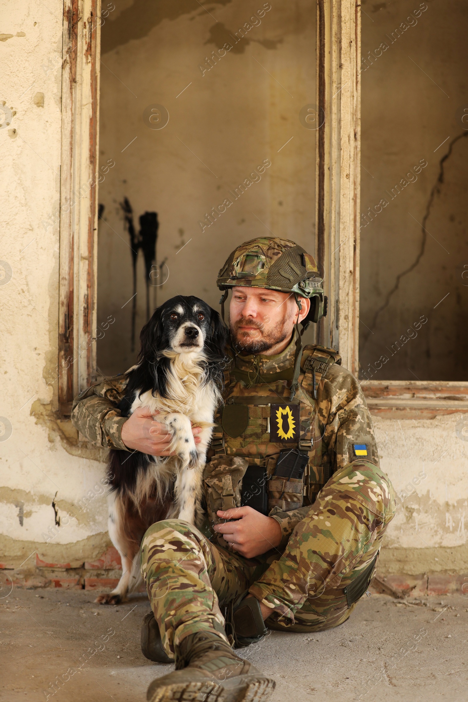 Photo of Ukrainian soldier sitting with stray dog in abandoned building