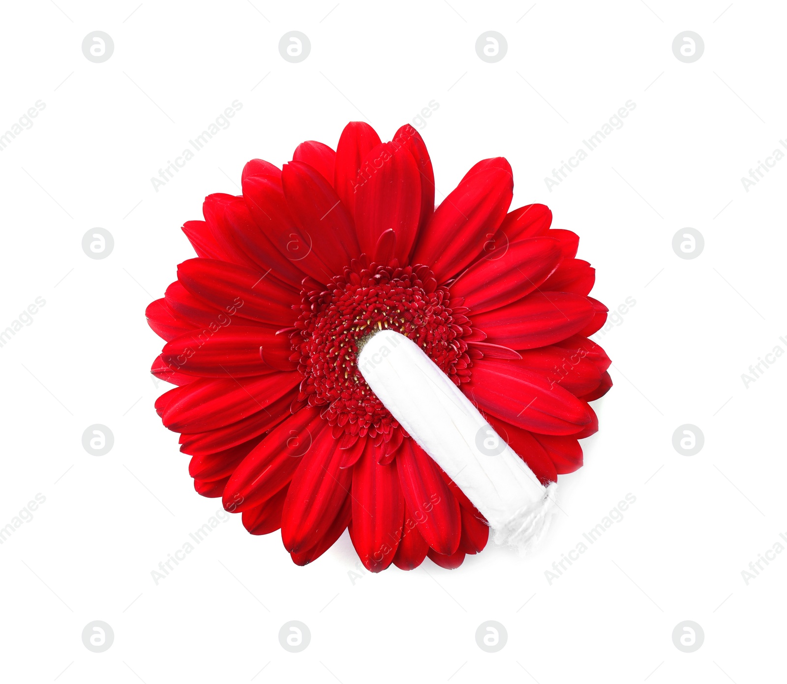 Photo of Flower and tampon on white background, top view. Gynecological care