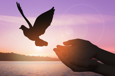 Image of Woman releasing bird near river at sunset, closeup. Freedom concept