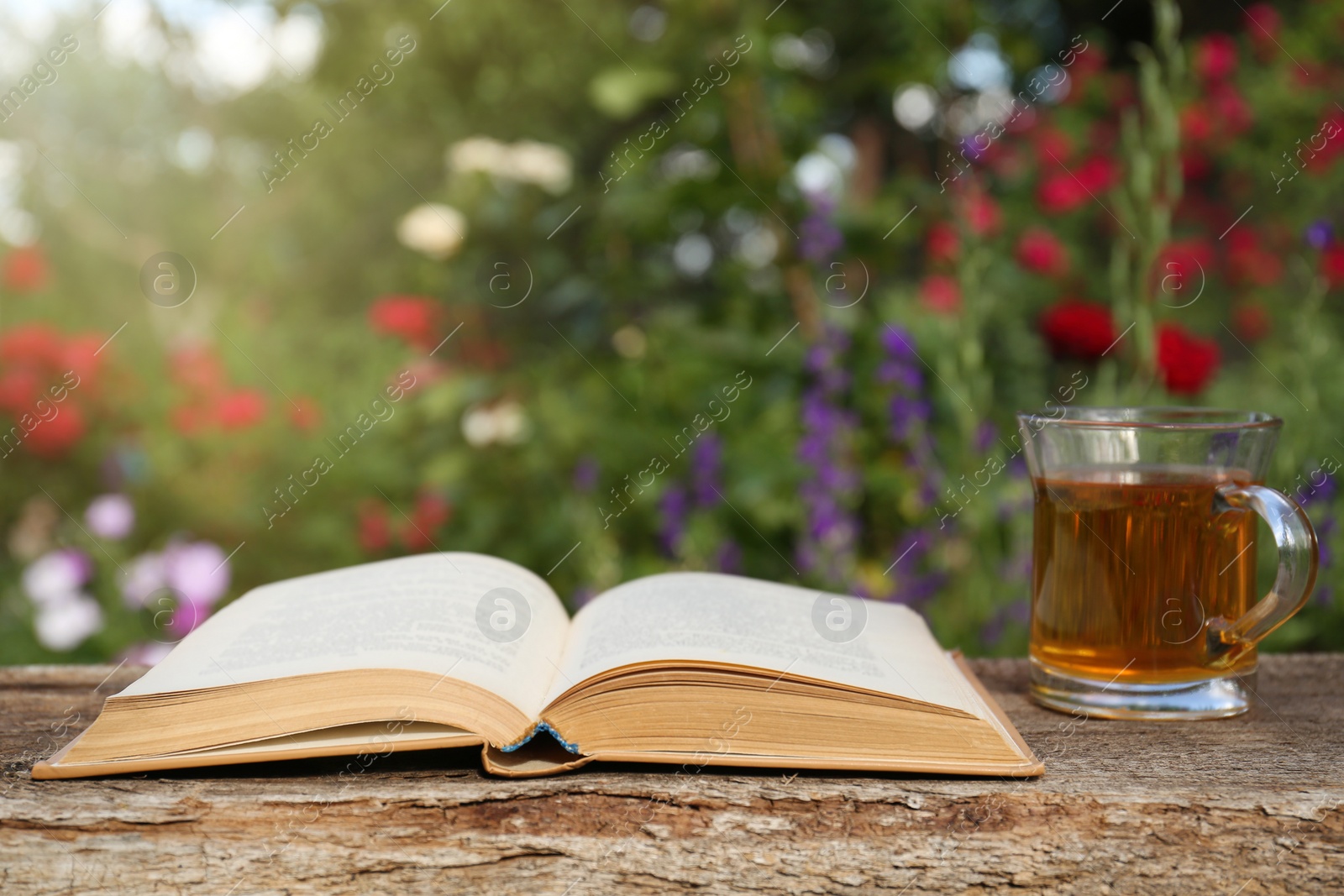 Photo of Open book with glass cup of tea on wooden table in garden